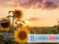南充2022年中考錄取查詢?nèi)肟? /><b>南充2022年中考錄取查詢?nèi)肟?/b><span>2021-10-11 15:52</span><p>中考是一場重大的考試，從中考備考的復(fù)習(xí)到中考志愿填報被錄取中間有很多個過程，每一步都不容大家忽視，并且要按照當(dāng)?shù)亟逃忠?guī)</p></a></h3></li>
            <li><h3><a href=