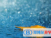 南充2022年中考網(wǎng)上報(bào)名