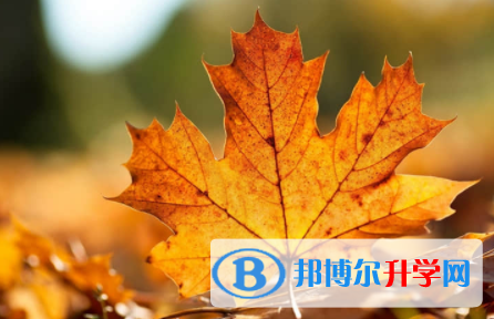 南充2022年中考準(zhǔn)考證信息