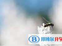 南充2022年中考的統招和調劑說明