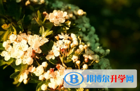 南充2022年中考后計劃