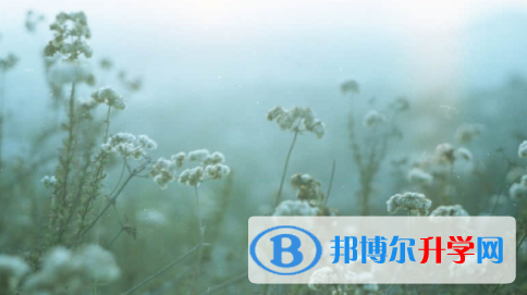 南充2022年中考注意事項(xiàng)