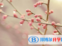 南充2022年中考報(bào)名是哪個(gè)網(wǎng)站