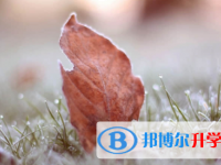 南充2022年中考報(bào)名網(wǎng)站是什么