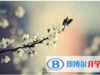 南充2022年中考報(bào)名網(wǎng)址