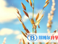 南充2022年中考報(bào)名系統(tǒng)網(wǎng)址