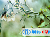 南充2022年中考網上志愿如何打印