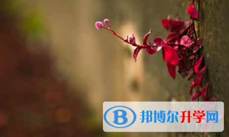 眉山2022年如何查詢中考成績(jī)