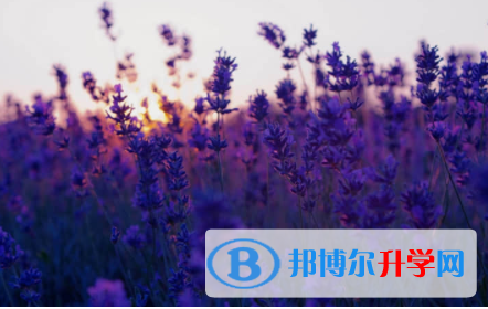 眉山2022年怎樣從網上查詢中考成績