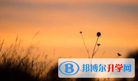 眉山2022年中考報(bào)名查詢