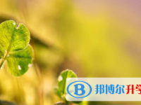 眉山2022年中考成績(jī)?cè)谀睦锊樵? /><b>眉山2022年中考成績(jī)?cè)谀睦锊樵?/b><span>2021-10-26 11:17</span><p>六月，真的是一個(gè)奮斗且豐收的季節(jié)，中考已經(jīng)開始查分了，各地的中考也在如期地舉行著，一切都在有時(shí)間，有秩序地安排著。相比于</p></a></h3></li>
        </ul>
    <div   id=