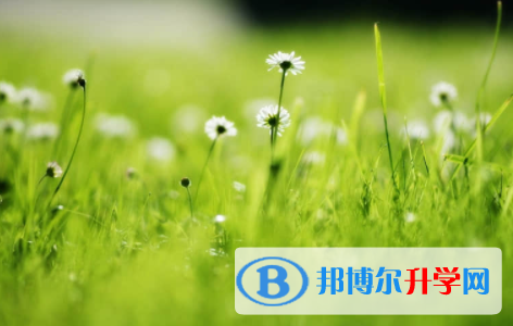 眉山2022年中考成績查詢網址