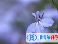 眉山2022年中考報(bào)名平臺(tái)