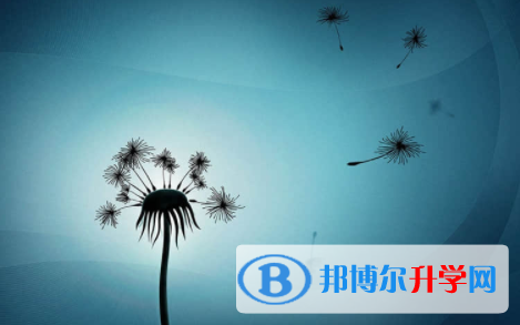 眉山2022年中考報名網(wǎng)