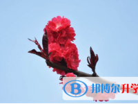 眉山2022年中考網(wǎng)上報(bào)名