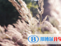 眉山2022年中考網(wǎng)上報(bào)名系統(tǒng)