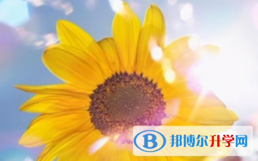 眉山2022年中考招生網絡應用服務平臺