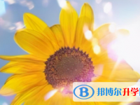 眉山2022年中考招生網(wǎng)絡應用服務平臺