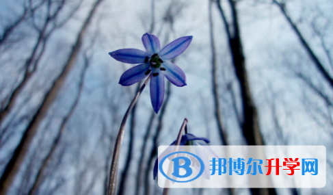 眉山2022年今年中考時(shí)間是幾號(hào)
