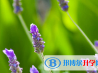 眉山2022年中考報(bào)名是哪個(gè)網(wǎng)站