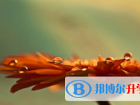 眉山2022年中考報(bào)名網(wǎng)站登錄
