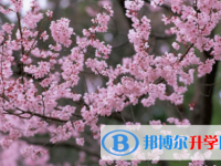 眉山2022年中考報(bào)名網(wǎng)站是什么