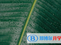 眉山2022年中考網(wǎng)絡(luò)應(yīng)用服務(wù)平臺(tái)登錄