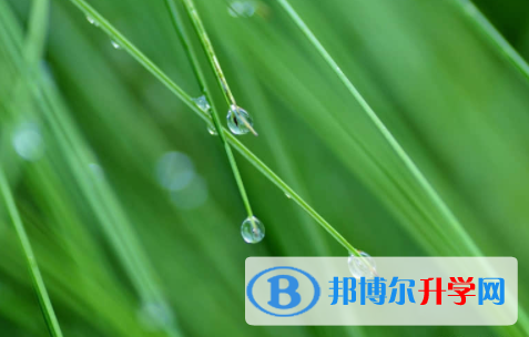 眉山2021年中考網上志愿如何打印