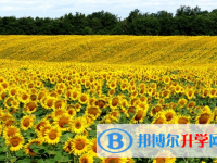 宜賓2022年中考成績差怎么辦
