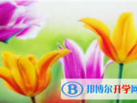 宜賓2022年中考成績沒考好怎么給家長說