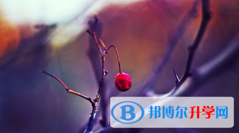 宜賓2022年中考成績?nèi)绾尾樵? width=
