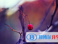 宜賓2022年中考成績?nèi)绾尾樵? /><b>宜賓2022年中考成績?nèi)绾尾樵?/b><span>2021-11-09 15:56</span><p>中考之后，學(xué)生和家長也還未脫離緊張的氣氛，依舊緊張的等待著中考成績的公布。大家還是要保持平常心以積極的姿態(tài)去面對，中考成</p></a></h3></li>
            <li><h3><a href=