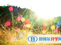 宜賓2022年中考報考人數