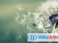 宜賓2022年中考查詢系統的密碼記不到了怎么辦