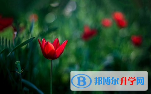宜賓2022年中考成績出來了嗎
