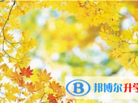宜賓2022年中考服務應用平臺