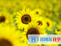 宜賓2022年中考考點有哪幾個