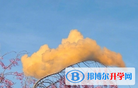 宜賓2022年中考考生人數