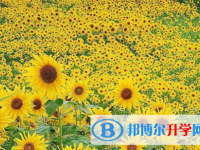 宜賓2022年中考錄取查詢?nèi)肟? /><b>宜賓2022年中考錄取查詢?nèi)肟?/b><span>2021-11-12 10:42</span><p>分數(shù)，是同學們在學生時代，唯一可以證明自己、并為自己爭取到更好機會的標尺。分數(shù)很重要，與品質(zhì)、能力、情商同樣重要，所以你</p></a></h3></li>
            <li><h3><a href=