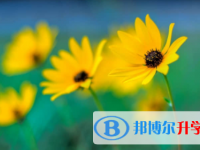 宜賓2022年中考網(wǎng)上報(bào)名系統(tǒng)