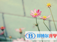 宜賓2022年中考網上模擬報名