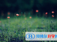宜賓2022年中考咨詢熱線電話號碼