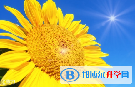 宜賓2022年今年中考哪些學校有招生