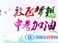 宜賓2022年中考報(bào)名