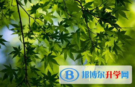 宜賓2022年中考后計劃