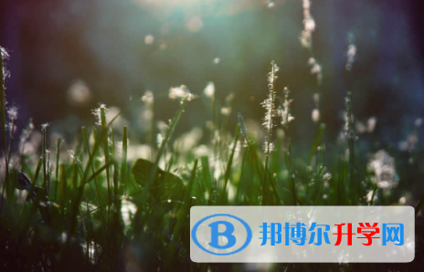 宜賓2022年中考生活注意事項