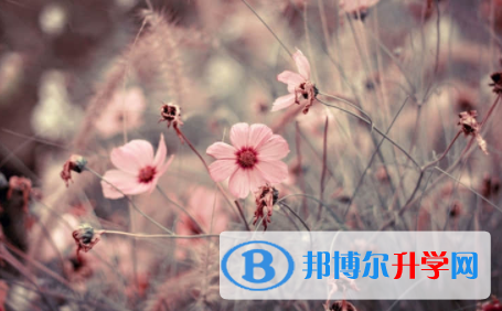 宜賓2022年中考升學率