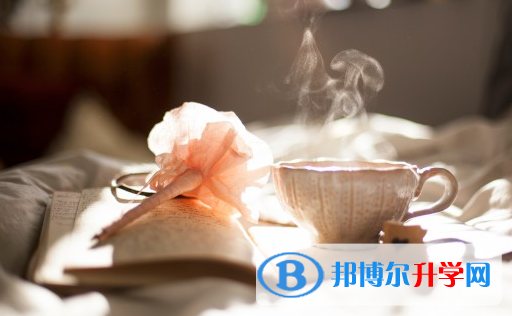 宜賓2022年中考體考標準