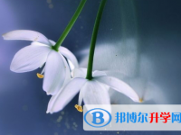 宜賓2022年中考的報名號是什么