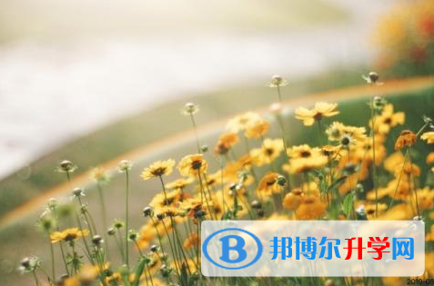 宜賓2022年中考報名自薦信怎么寫